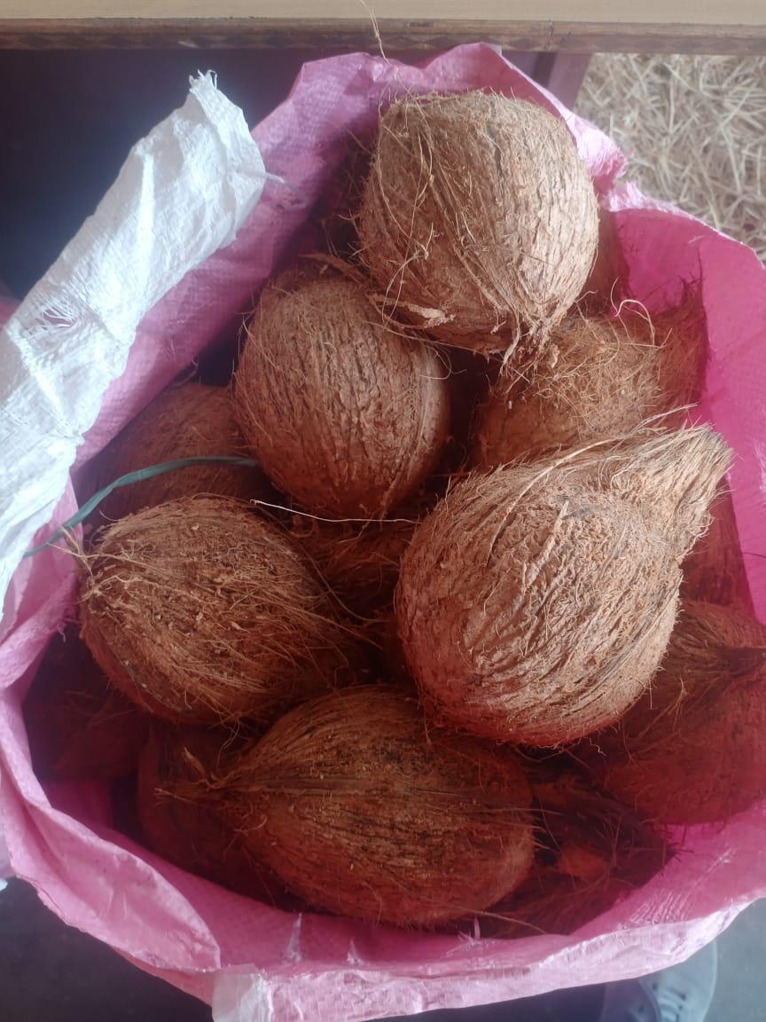 WhatsApp Image 2025-06-03 at 7.43.12 PM (4).jpeg